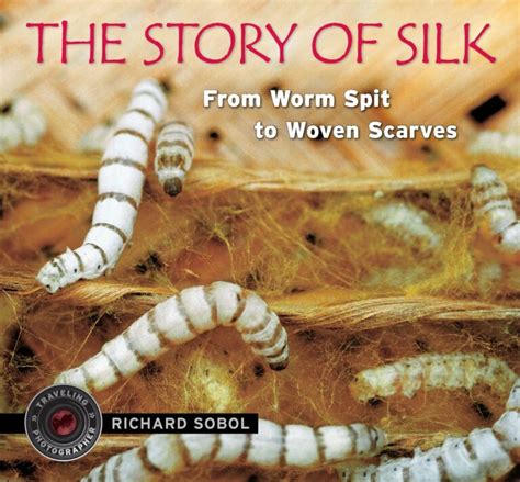 Stories on Silk 